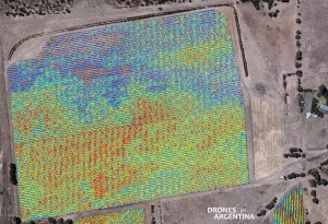 NDVI sobre un viñedo derivado de un Uav